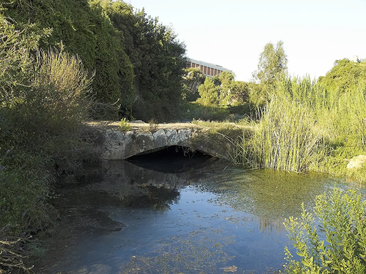 Arapsuyu Köprüsü