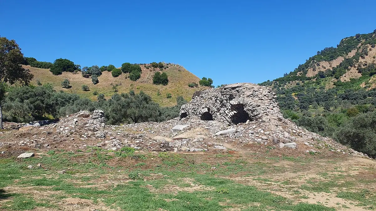 Mastaura